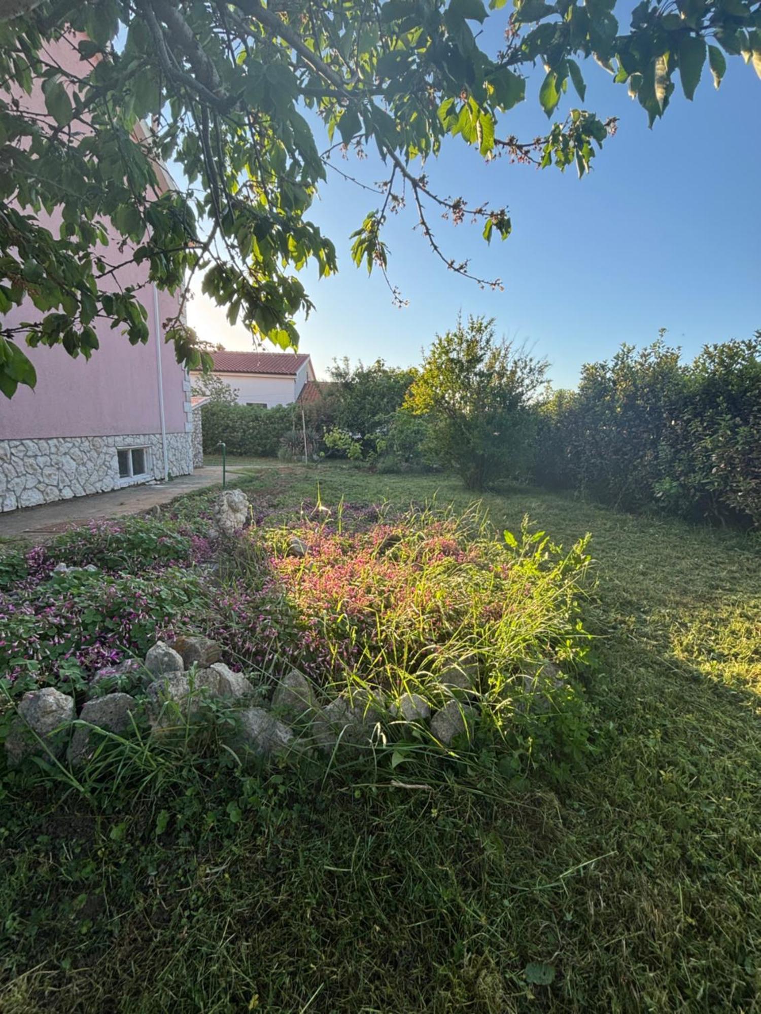 Guest House With Pool Ante فرسي المظهر الخارجي الصورة